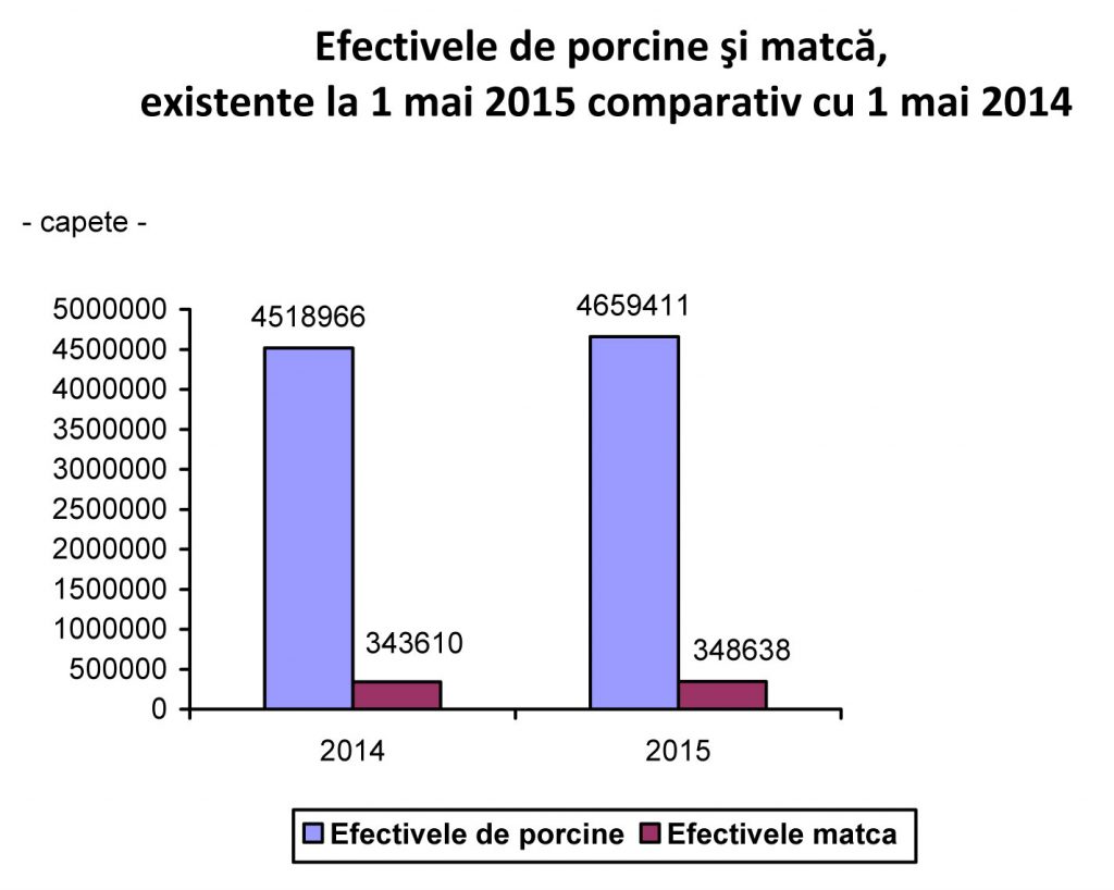grafic-efective-porci-comparatie-2014-2015
