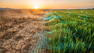 AGRI4FUTURE 2026: Soluții pentru secetă, subvenții și fonduri PAC