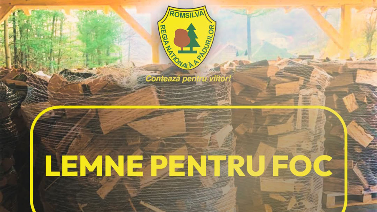 Lemne pentru foc de la RNP-Romsilva